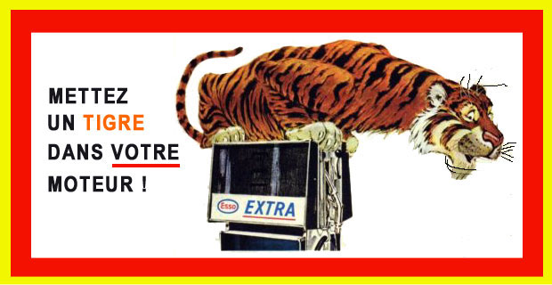 tigremoteur.jpg